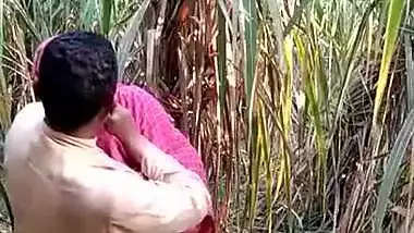 Panu Vedio - Bengali Panu Video Village Girl In Jungle Sex indian porn movies at  Noticieropornx.com
